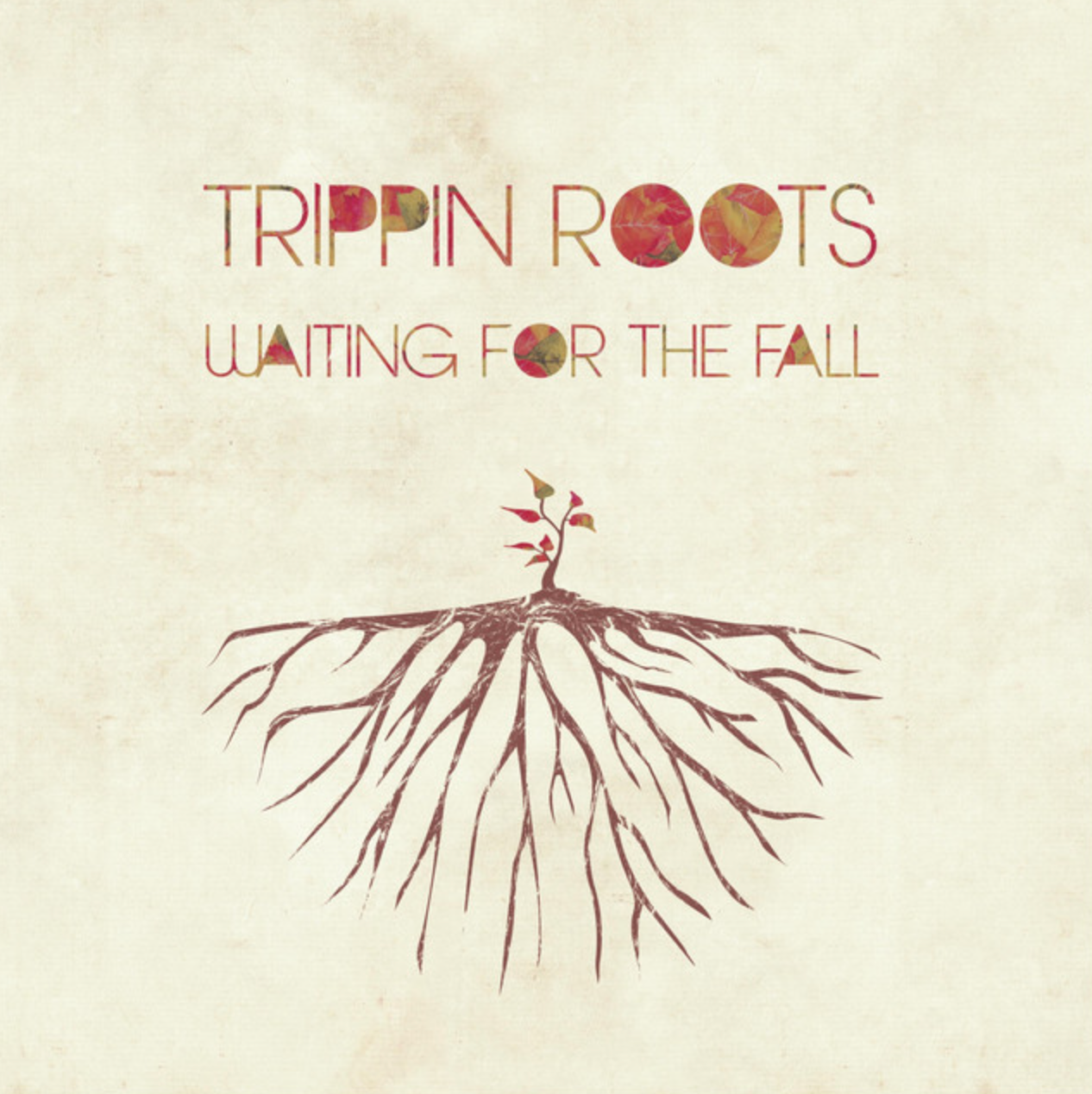 Waiting For The Fall Album Cover